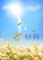 松赞林寺史略     PDF电子版封面    徐丽华编 