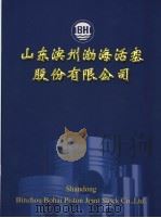 山东滨州渤海活塞股份有限公司（ PDF版）