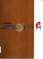 齐鲁钢城济南钢铁集团总公司     PDF电子版封面     