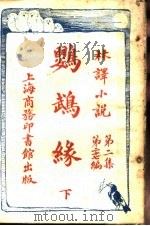 鹦鹉缘  第2集  第27编  下   1914  PDF电子版封面    王庆通合译 