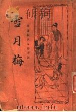 名著长篇言情小说  雪月梅  第2版   1937  PDF电子版封面    （清）陈朗著 