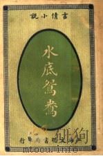 言情小说  水底鸳鸯  第2版（1916 PDF版）