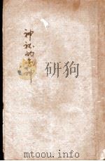 神秘的恋神   1928  PDF电子版封面     