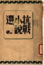 抗战小说选     PDF电子版封面     