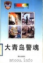 大青岛警魂（1997 PDF版）