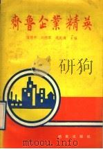 齐鲁企业精英   1989  PDF电子版封面  7800192156  陶传平，刘德军，巩庆海主编 