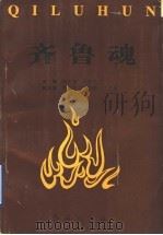 齐鲁魂   1994  PDF电子版封面  780068511X  刘传夫，吴秉忱主编 