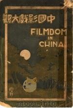 中国影戏大观   1927  PDF电子版封面    徐耻痕著 