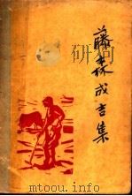 藤森成吉集   1933  PDF电子版封面    （日本）藤森成吉著；森保译 