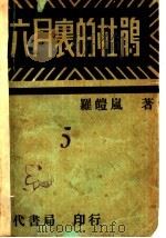 六月里的杜鹃   1929  PDF电子版封面    罗体风著 