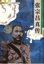 张宗昌真传（1997 PDF版）