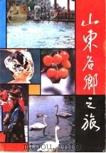 山东名乡之旅   1993  PDF电子版封面  7800396312  刘福田主编 