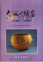 大汶口续集  大汶口遗址第二、三次发掘报告   1997  PDF电子版封面  7030059808  山东省文物考古研究所编 