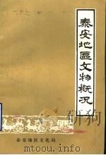 泰安地区文物概况   1983  PDF电子版封面     