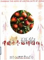中国冬枣之乡沾化     PDF电子版封面     