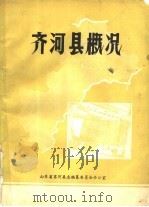 齐河县概况   1986  PDF电子版封面    山东省齐河县志编纂委员会办公室 