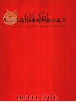 山东输血事业辉煌的五年  纪念《中华人民共和国献血》实施五周年（ PDF版）