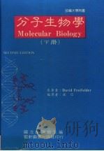 分子生物学  下   1988  PDF电子版封面    张信主编 