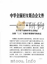 中华全国妇女联合会文件  1999   1999  PDF电子版封面     