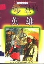 少年英雄   1998  PDF电子版封面  7500741480  张际康等编写 