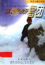 飞来的雪团   1999  PDF电子版封面  7537922640  徐迅 