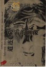 道连·葛雷的画像   1999  PDF电子版封面  7532916073  （英国）王尔德著；荣如德译 