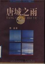 唐城之雨（1996 PDF版）