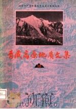 青藏高原地质文集   1982  PDF电子版封面  15038·新827  地质矿产部青藏高原地质文集编 