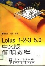 Lotus 1-2-3 5.0中文版简明教程   1996  PDF电子版封面  7505337556  潘贻新，张懿编著 