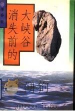 消失前的大峡谷   1995  PDF电子版封面  7506308398  李乔亚著 