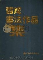 董文书法作品集   1992  PDF电子版封面  7538213376  董文著 