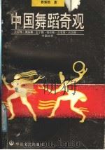 中国舞蹈奇观   1988  PDF电子版封面  7805490821  费秉勋著 
