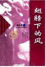 翅膀下的风   1999  PDF电子版封面  7537819661  郭生彩著 