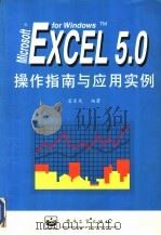 Microsoft Excel 5.0 for Windows操作指南与应用实例   1996  PDF电子版封面  7505333062  翁东风编著 