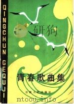 青春歌曲集   1984  PDF电子版封面  10091·930  杨春，刘士贤编 