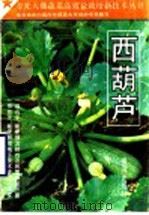 西葫芦   1994  PDF电子版封面  7805585423  常连海，邵树策，刘明杰主编；刘效增，邵树策编著 