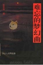 难忘的梦幻曲   1994  PDF电子版封面  7505920545  文化部党史资料征集工作委员会编；周巍峙名誉主编；许翰如主编； 