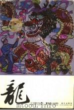 龙  图片集   1988  PDF电子版封面  7800370720  丁允衍等编 