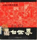 黑白世界  刘金平黑白画集（1989 PDF版）