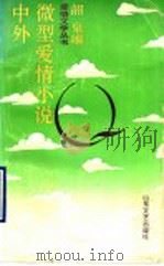 中外微型爱情小说   1990  PDF电子版封面  7532904385  韶泉编 