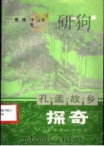 孔孟故乡探奇   1988  PDF电子版封面  7540200979  宿传登著 