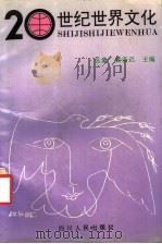 20世纪世界文化   1994  PDF电子版封面  7220023103  张象，黄若迟主编 