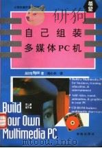 自己组装多媒体PC机   1994  PDF电子版封面  7507708225  Aubrey Pilgrim著；阎小兵译 