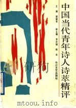 中国当代青年诗人诗萃精评（1991 PDF版）