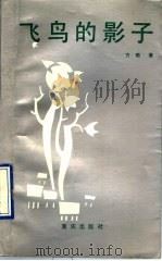 飞鸟的影子   1990  PDF电子版封面  7536613261  方敬著 