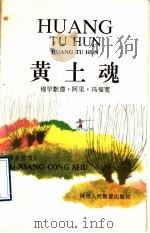 黄土魂   1992  PDF电子版封面  7541926841  冯福宽著 