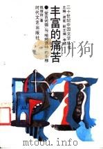 丰富的痛苦  “堂吉诃德”与“哈姆雷特”的东移   1993  PDF电子版封面  7538706305  钱理群著 