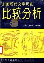 中国现代文学历史比较分析   1993  PDF电子版封面  7540820934  龙泉明，张小东主编 