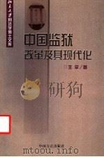 中国监狱改革及其现代化   1999  PDF电子版封面  7801073215  王平著 