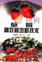 草莓高效栽培新技术   1998  PDF电子版封面  7538128433  黄国辉，姚平主编 